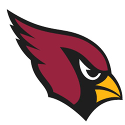Arizona Cardinals Sports Decor